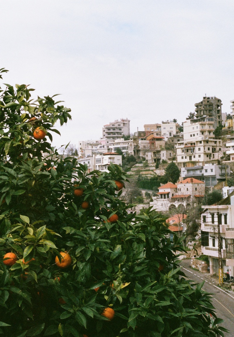 saraboy sara boy 26 louis lewitt fluoctets flux-octets andre roi andreroi de damas andre succession onlyonlviii